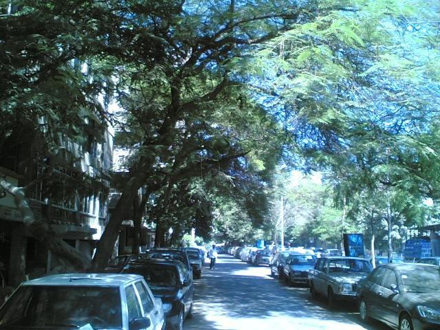 Furnished Flat In Zero One Zero One Zero Six Seven Nine Two Four Four Apartment Cairo