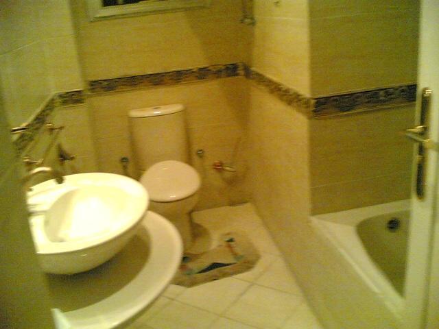 Furnished Flat In Zero One Zero One Zero Six Seven Nine Two Four Four